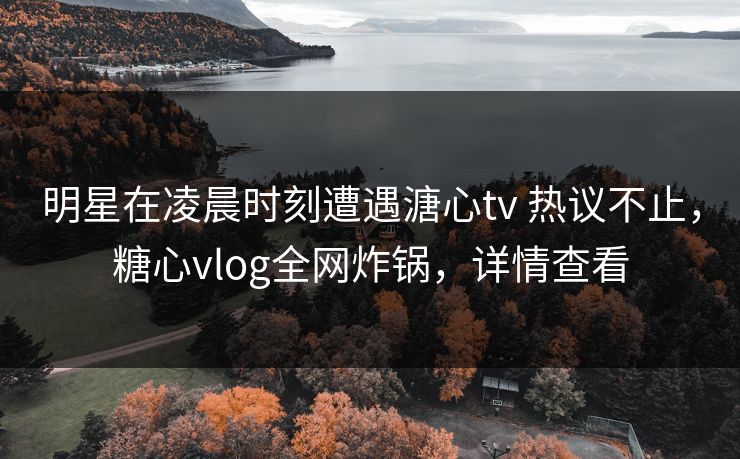 明星在凌晨时刻遭遇溏心tv 热议不止，糖心vlog全网炸锅，详情查看