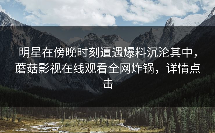 明星在傍晚时刻遭遇爆料沉沦其中，蘑菇影视在线观看全网炸锅，详情点击