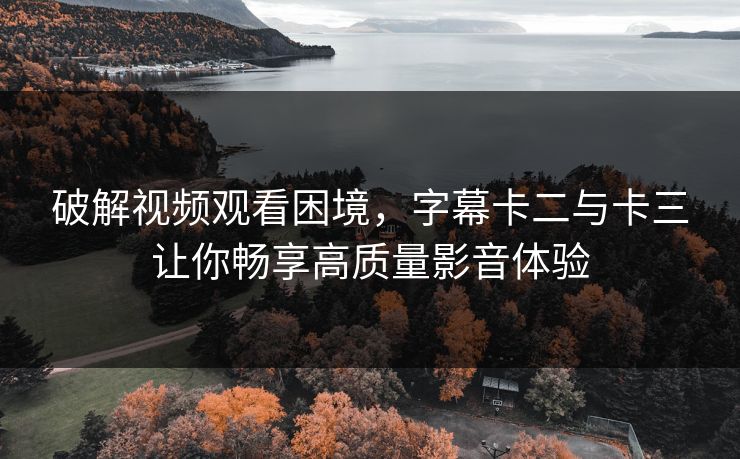 破解视频观看困境，字幕卡二与卡三让你畅享高质量影音体验