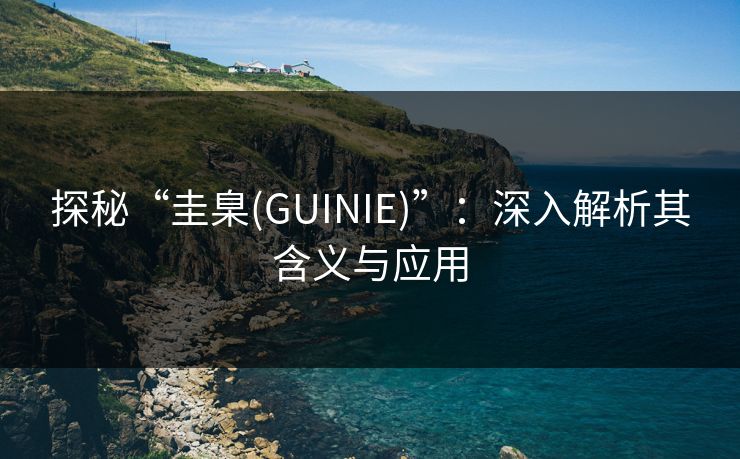 探秘“圭臬(GUINIE)”：深入解析其含义与应用
